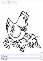 coloriage-poule-2